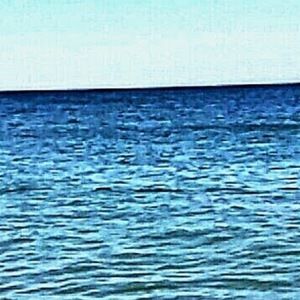 Meet your Posher, Gracie